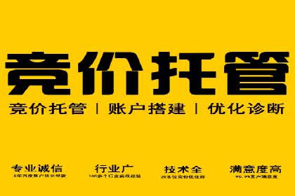 某行业SEM托管公司操作实例：提升广告ROI的秘诀